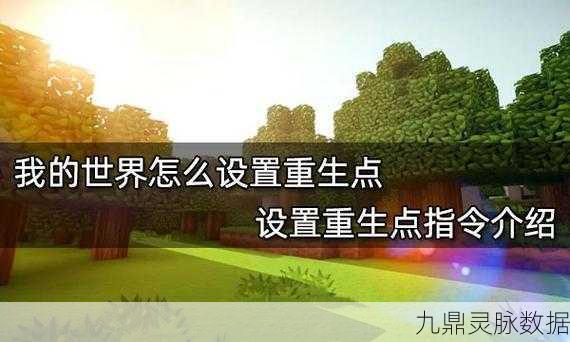我的世界重生点指令全解析，轻松设置你的专属复活点