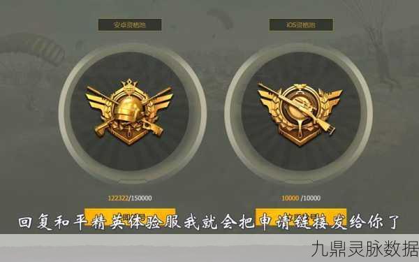 和平精英4v4团队竞技,战术与激情的碰撞解析