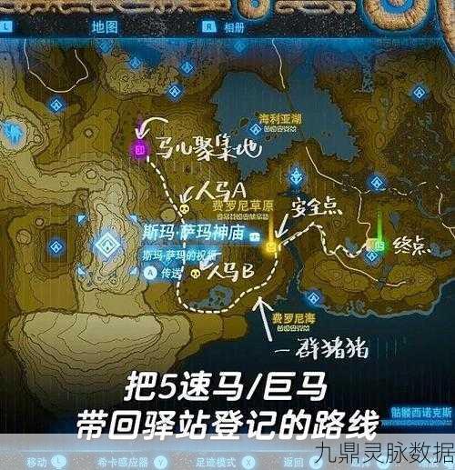 塞尔达传说,揭秘捕获白马所需体力与技巧