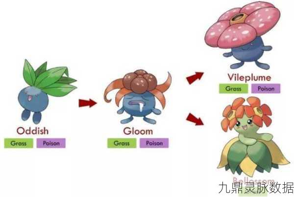 霸王花绽放,宝可梦大探险配招攻略