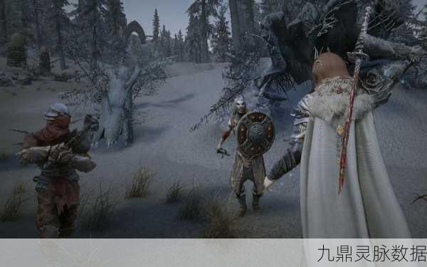 乌木之刃的隐秘召唤，上古卷轴5深度探险揭秘