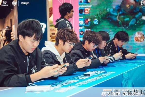 王者荣耀职业赛场星光熠熠，玩家职业选择全攻略