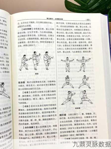 太极熊猫免伤装搭配秘籍，轻松应对各阶段挑战