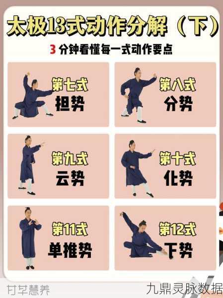 太极熊猫免伤装搭配秘籍,轻松应对各阶段挑战