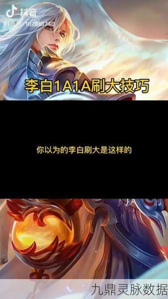 王者荣耀高手进阶,解锁李白飘逸之姿的秘籍