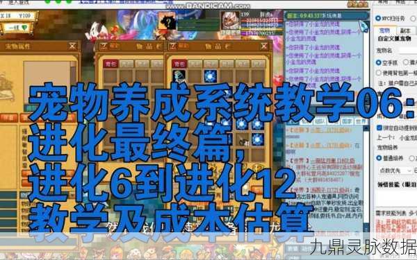 造梦西游OL宠物养成全攻略，揭秘经验获取与进化升级秘籍