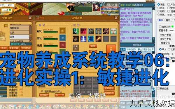 造梦西游OL宠物养成全攻略,揭秘经验获取与进化升级秘籍