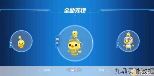 QQ飞车宠物探险鸭,萌趣外形下的强劲助力