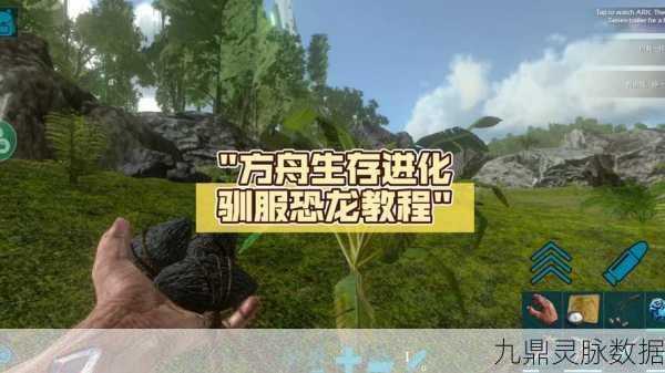 方舟生存进化，解锁恐龙繁殖的终极秘籍
