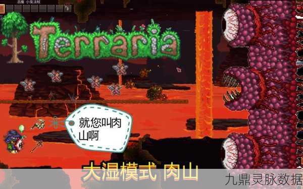 泰拉瑞亚,挑战肉山,你准备好了吗?