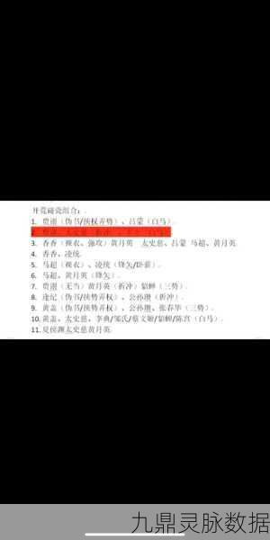 Steam平台三国志14，策略征战之旅的启程秘籍