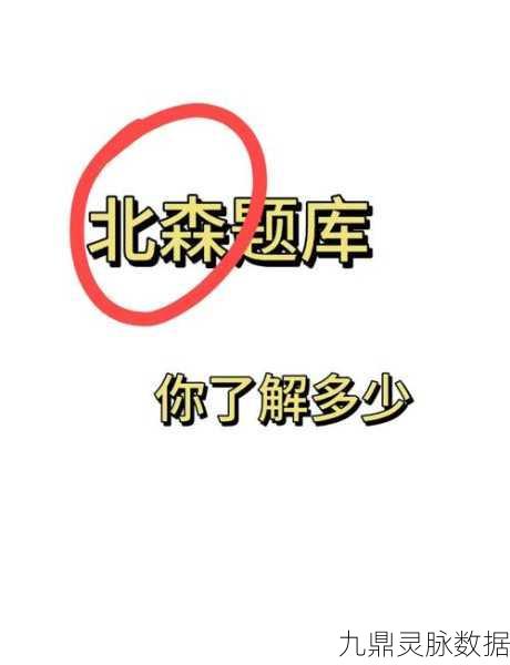 霸道天下银两秘境,玩家必备的高效通关秘籍大公开