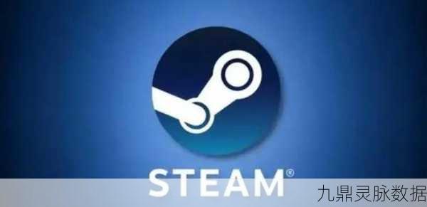 Steam游戏赠送揭秘,非好友能否接收大揭秘