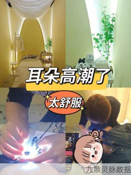 洗耳沙龙，解锁休闲模拟新乐趣，打造你的梦幻耳疗天地