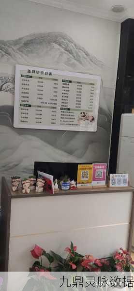 洗耳沙龙,解锁休闲模拟新乐趣,打造你的梦幻耳疗天地