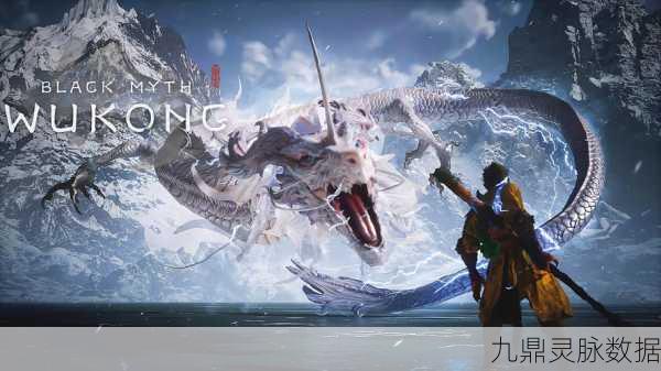 黑神话悟空实体版,收藏与游戏的双重盛宴