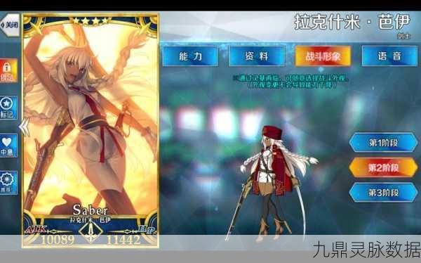 FGO角色培养指南,谁才是你的战斗伙伴?