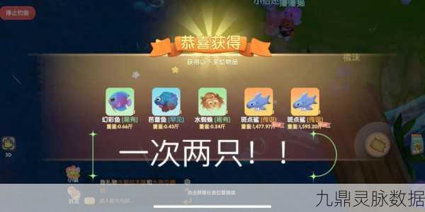 摩尔庄园,揭秘鲨鱼的神秘用途与获取攻略