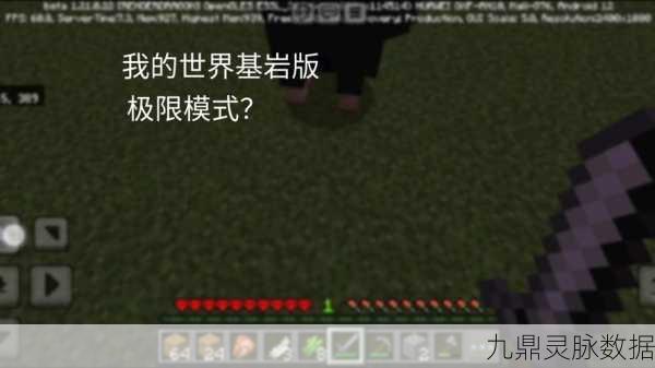 我的世界生存模式大揭秘，轻松破基岩的绝妙技巧