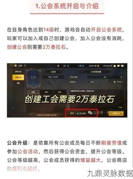 DNF手游工会深度解析,打造你的荣耀归属