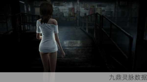 零濡鸦之巫女汉化来袭，冒险解密新体验等你探索