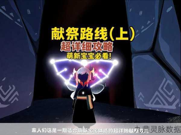 光遇单人献祭全攻略,流程揭秘与技巧大放送
