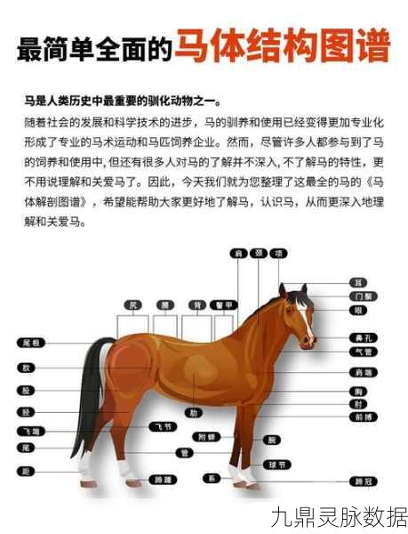 猎魂觉醒马匹作用全解析与马匹系统深度攻略