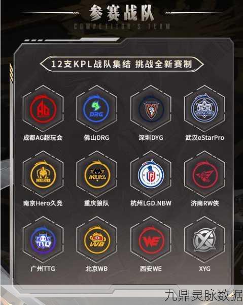 王者荣耀战队荣耀，称号自定义全解析，打造专属战队风采