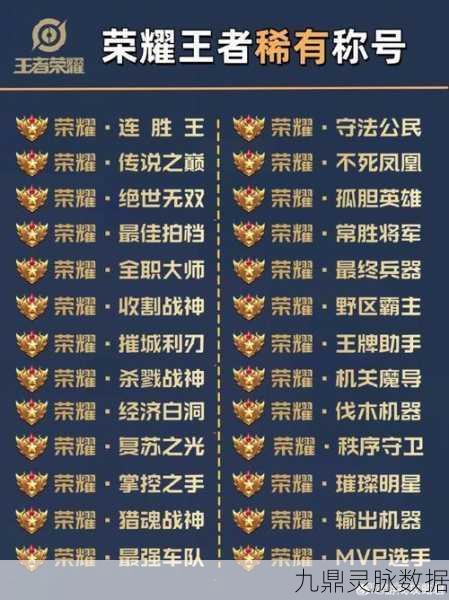 王者荣耀战队荣耀,称号自定义全解析,打造专属战队风采