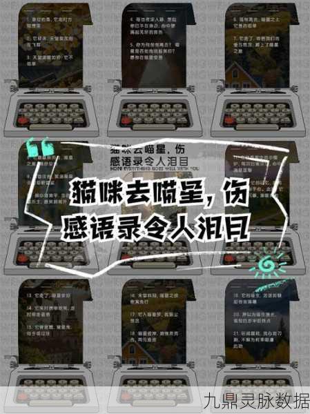 喵星探秘全攻略,以闪亮之名猫咪星宿套装获取秘籍