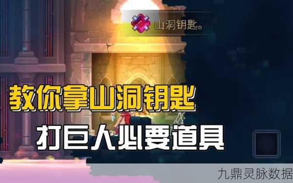 重生细胞山洞钥匙，解锁神秘区域的钥匙使用全攻略
