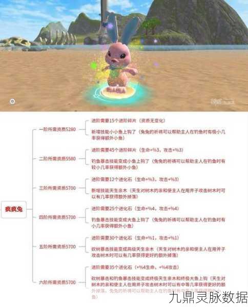创造与魔法，掌握驯服乌龟的秘诀，打造你的奇幻宠物军团