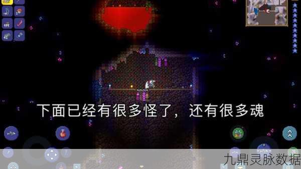 泰拉瑞亚暗影之魂高效刷取全攻略,技巧与策略大揭秘