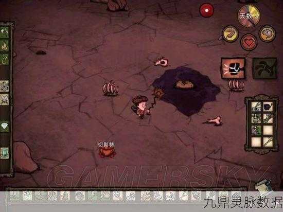 饥荒冒险模式，揭秘生病虫洞进不去的谜团