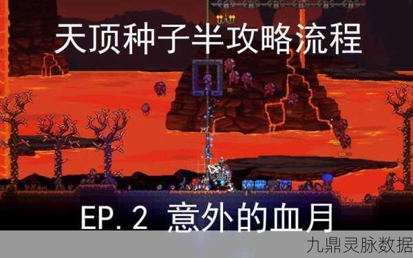 泰拉瑞亚血月召唤秘籍与事件全解析