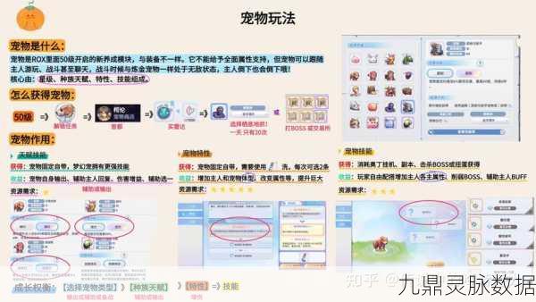 仙境传说RO，解锁宠物获取的秘密通道