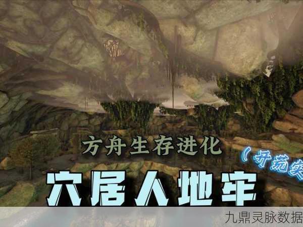 方舟畸变地表,探险者的终极秘境指南大揭秘