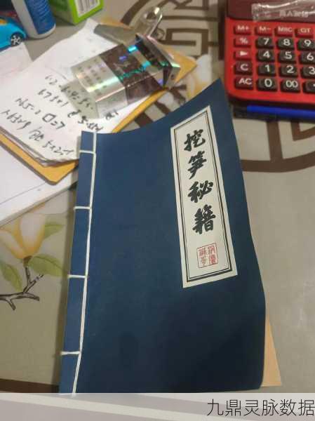 九阴真经无根门，揭秘武林绝学的隐秘探索之旅