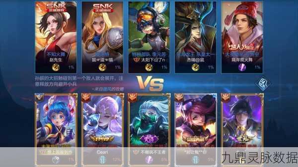 王者荣耀红标限定,荣耀与实力的象征