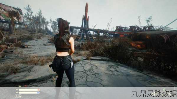 辐射4加点秘籍,掌握关键按键,高效提升角色能力