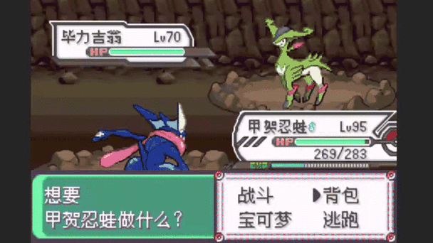 口袋妖怪究极绿宝石,金手指解锁无限可能,探险之旅再升级!