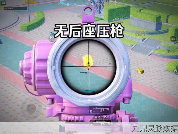 和平精英陀螺仪压枪,解锁精准射击新境界