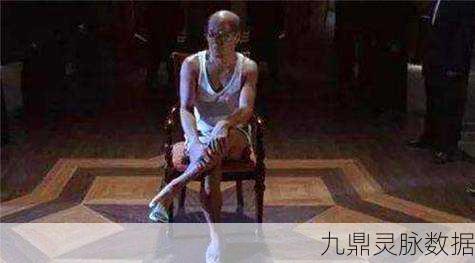 功夫江湖大揭秘，探寻火云邪神小弟的神秘面纱