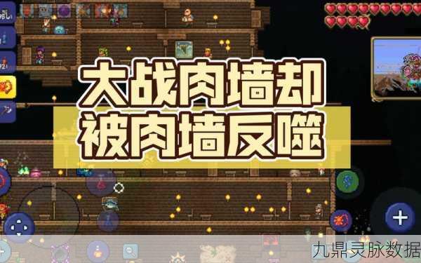 泰拉瑞亚珍馐美食,解锁次数之谜与美食探险之旅