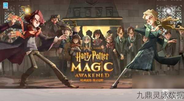 哈利波特魔法觉醒,揭秘有求必应屋的隐藏秘境之旅