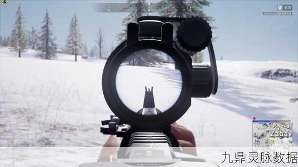 绝地求生，掌握精准准星调整，成就你的战场霸主梦