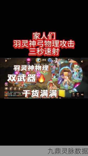 梦幻西游，揭秘羽灵神能入的门派及其玩法