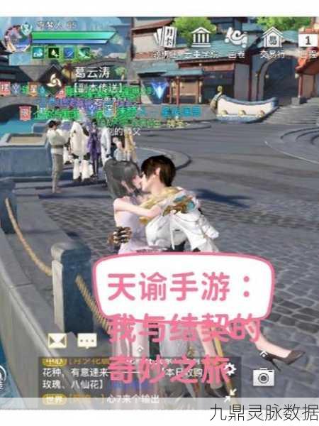 天谕手游，解锁收藏品的奇妙之旅
