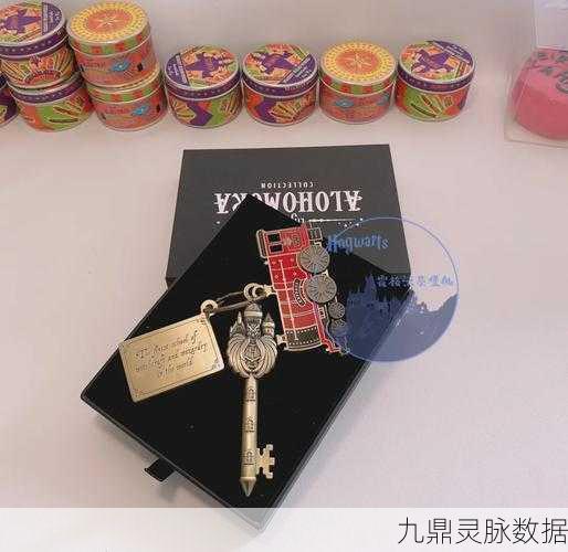 霍格沃茨之遗,揭秘巧妙钥匙的魔法用途