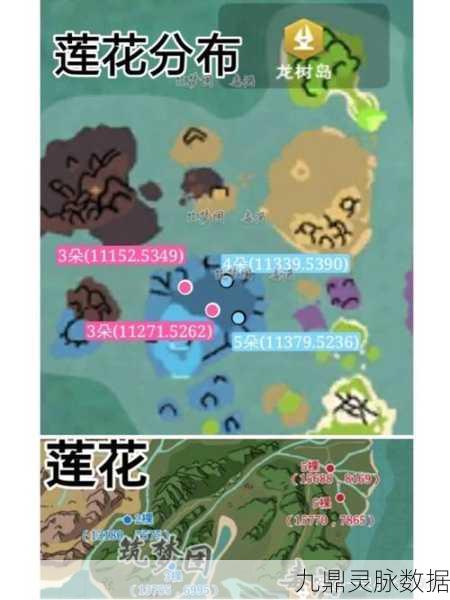 创造与魔法，探寻蓝莲花最多的神秘之地